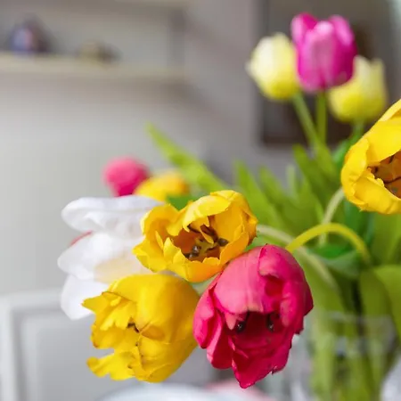 Apartamento Duplex In Centro Con Posto Auto Privato *