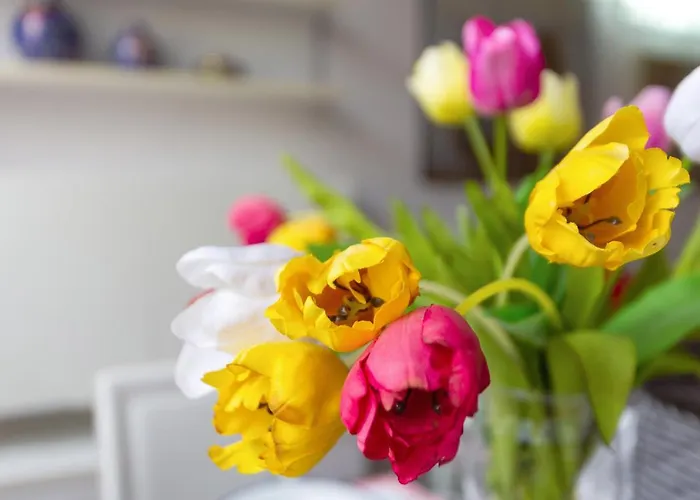 Apartament Duplex In Centro Con Posto Auto Privato *